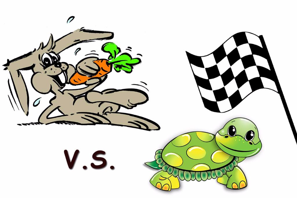 Coloriage Le Lievre Et La Tortue